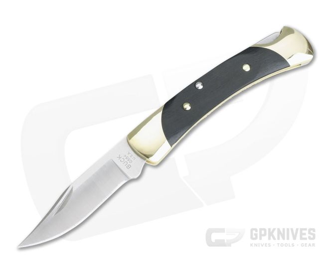 Buck 110 Hunter Folder