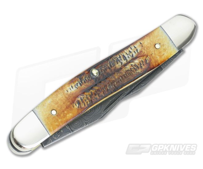 Case Muskrat Damascus Bone Stag Handles 34803 for sale