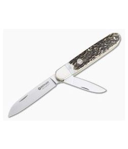 Boker Solingen Enigma Traditional Folder Stag 113031 - BO-113031 1