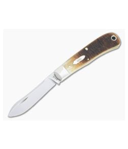 Case BackPocket Sawcut Jig Barehead Amber Bone Slip Joint Folder 17892 - CA-17892 1