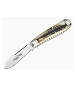 Northfield Cutlery #56 Bird Dog Sambar Stag #4 - GEC-562118-SS-4 1