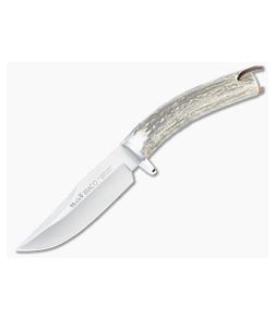 Muela Braco Hunter Stag Handle Fixed Blade BRACO-11A - MU-BRACO-11A 1
