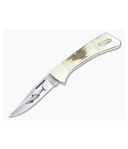 Case 1981 Mako Back Lock Stag Handles Satin Tru-Sharp Blade Pre-Owned - CA-PC003 1
