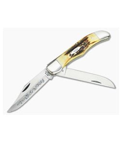 Case XX U.S.A. 3 Dot (1977) Blue Scroll Folding Hunter - Mint - CA-V409 1