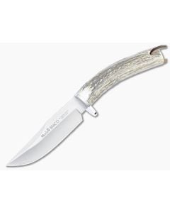 Muela Braco Hunter Stag Handle Fixed Blade BRACO-11A - MU-BRACO-11A 1