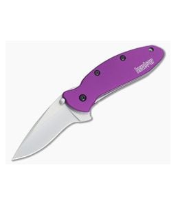 Kershaw Scallion Purple Assisted Flipper 1620PUR - KS-1620PUR 1