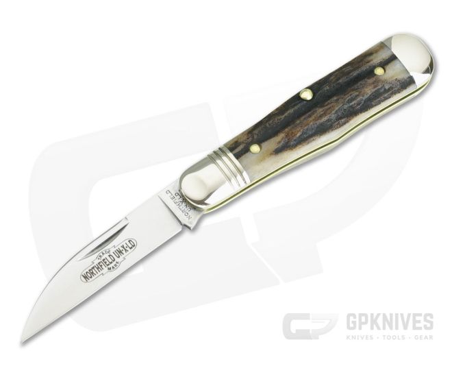 Northfield UN-X-LD #06 Pemberton Wharncliffe Sambar Stag 01 - GEC-060119-SS-01