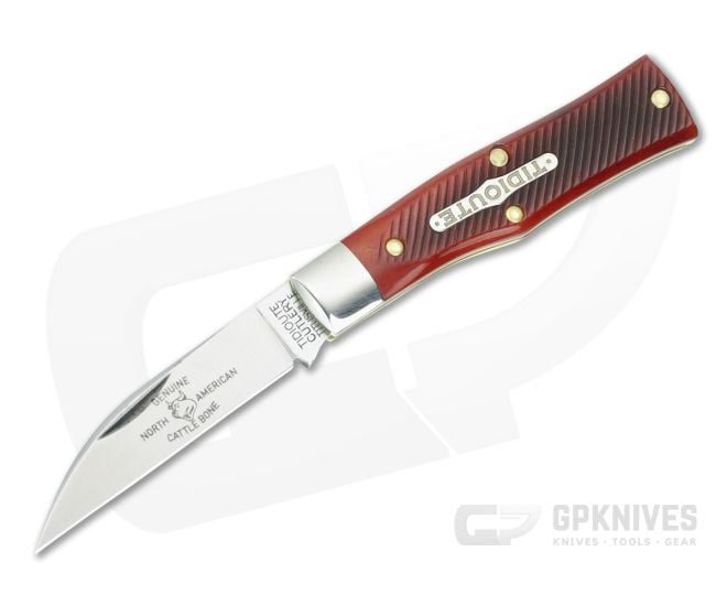 Tidioute #22 Magnum Wharncliffe Burnt Orange Sawcut Bone - GEC-220124-BOSB