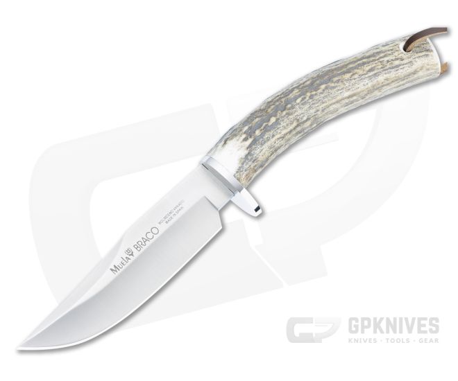 Muela Braco Hunter Stag Handle Fixed Blade BRACO-11A - MU-BRACO-11A