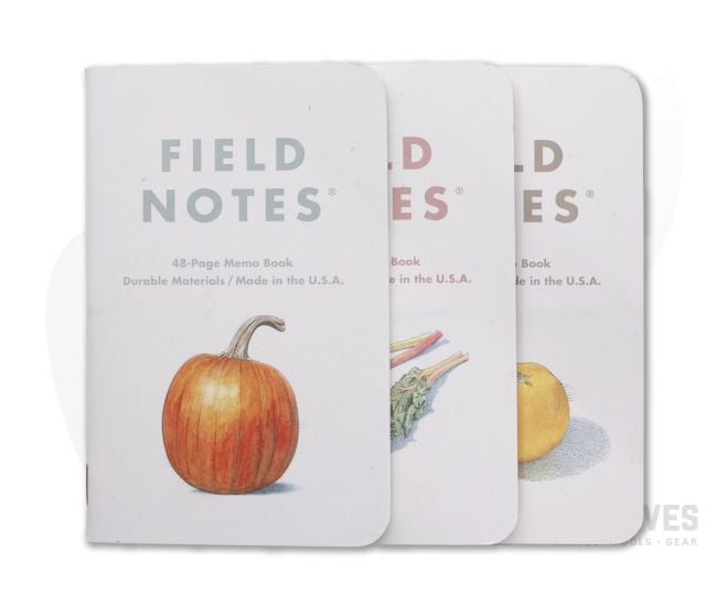 Field Notes Harvest Fall 2021 Pack A Ruled Dot Ledger Memo Notebook 3 Pack FNC-52A - FN-C-52A