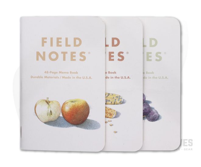 Field Notes Harvest Fall 2021 Pack B Ruled Dot Ledger Memo Notebook 3 Pack FNC-52B - FN-C-52B