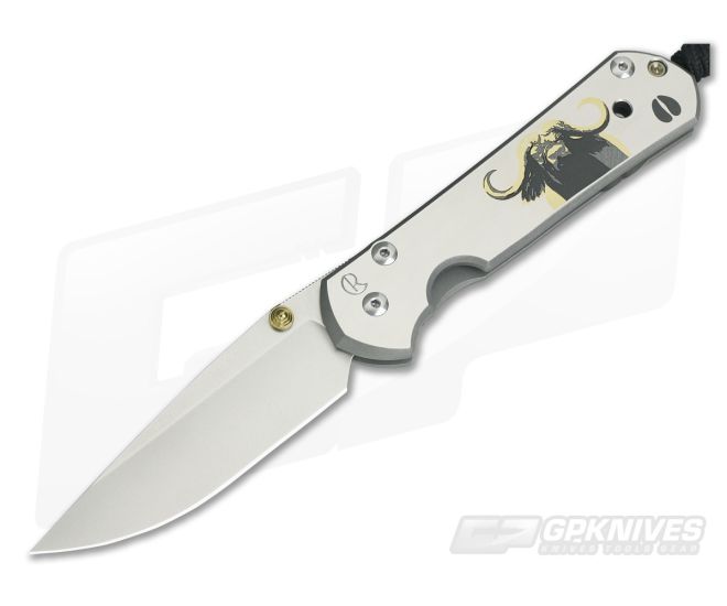 Chris Reeve Large Sebenza 21 CGG Cape Buffalo - CRK-L21-1242