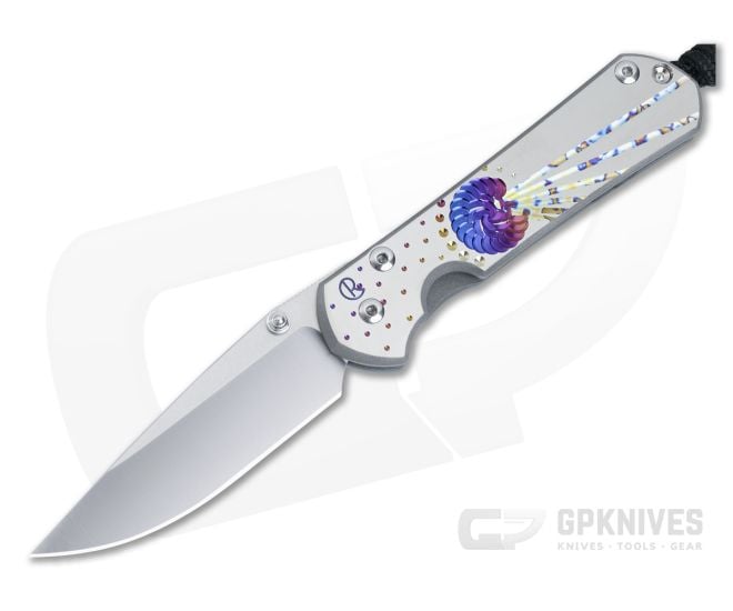 Chris Reeve Small Sebenza 31 Frame Lock Folder Unique Graphic Handle MagnaCut Drop Point S31-1400-019 - CRK-S31-1400-019
