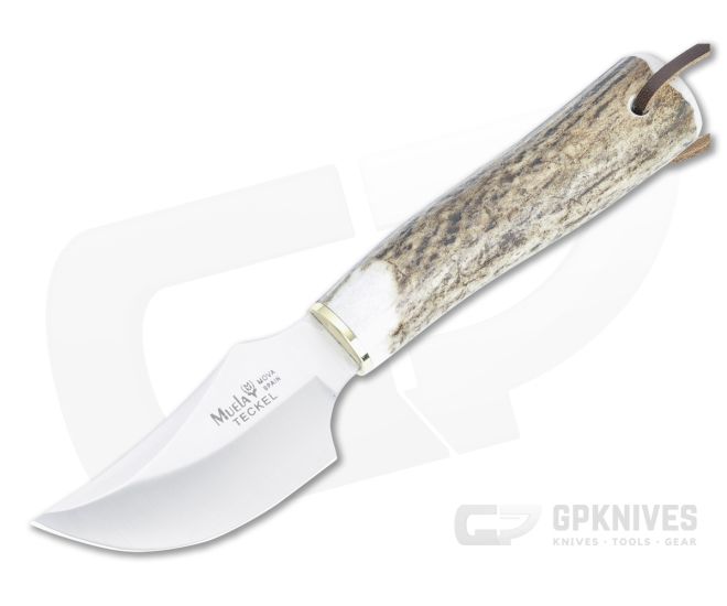 Muela Teckel Stag Handle Fixed Blade TECKEL-8A - MU-TECKEL-8A