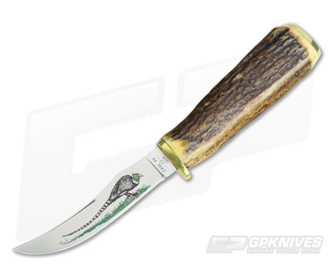Case XX 1980 10 Dot Stag Pheasant Knife - CA-VX097