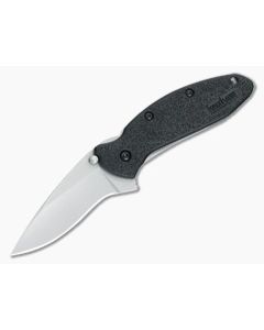 Kershaw Scallion Assisted Folder 1620