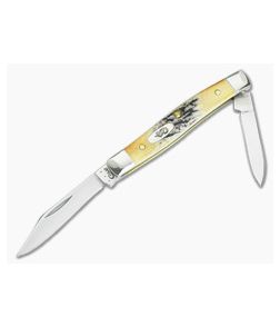 Case Pen Knife Genuine India Stag