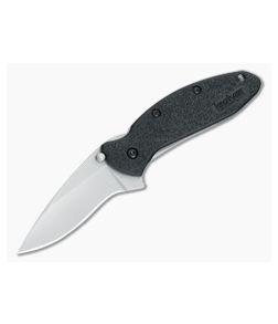 Kershaw Scallion Assisted Folder 1620