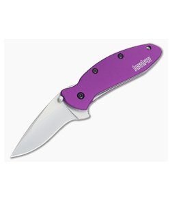 Kershaw Scallion Purple Assisted Flipper 1620PUR