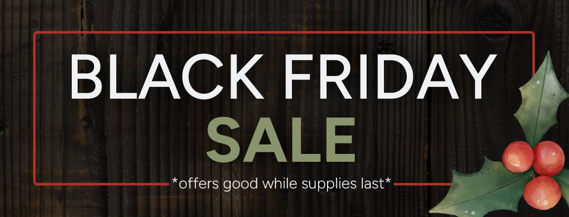 Black Friday Sales